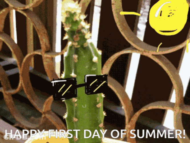 Happy First Day Of Summer Different Scenes GIF