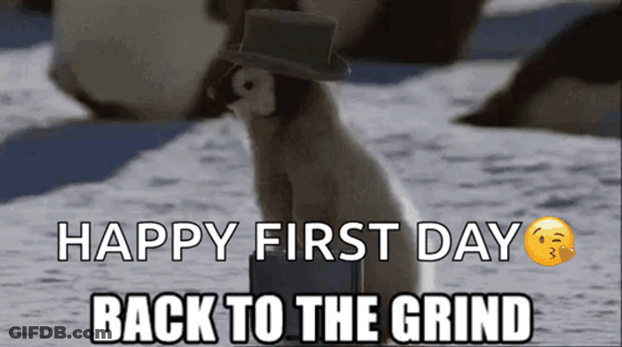 Happy First Day Penguin Walking Fast GIF