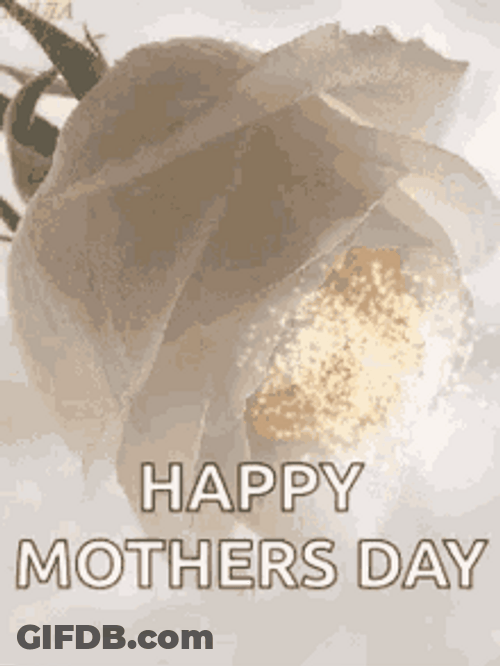 Happy First Mothers Day White Flower GIF