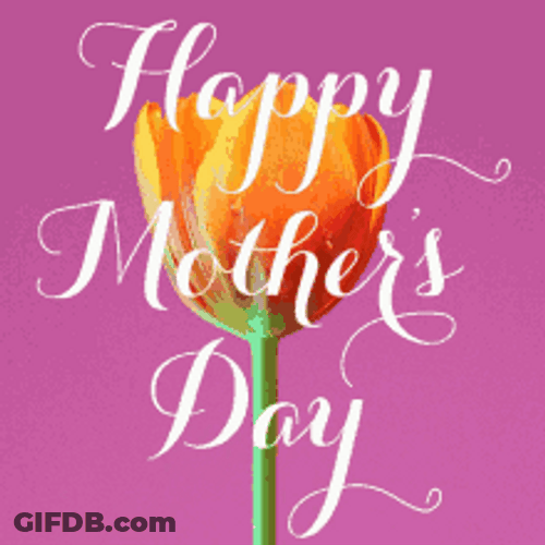 Happy First Mothers Day Yellow Tulips GIF