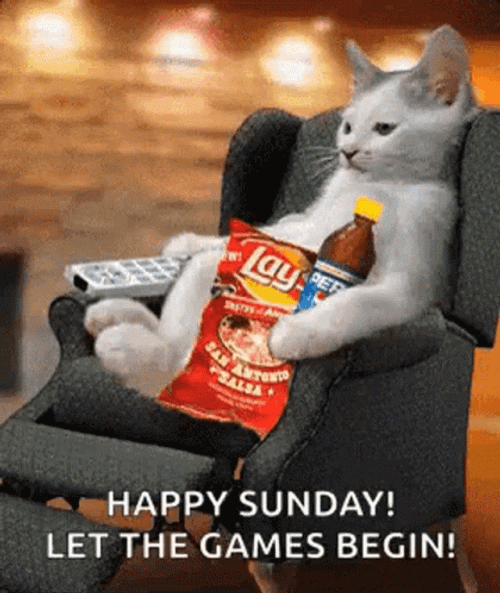 Happy Football Sunday Let The Game Begin GIF