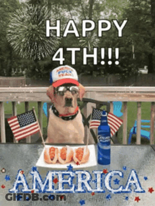 Happy Fourth America Keep Your Pets Safe GIF