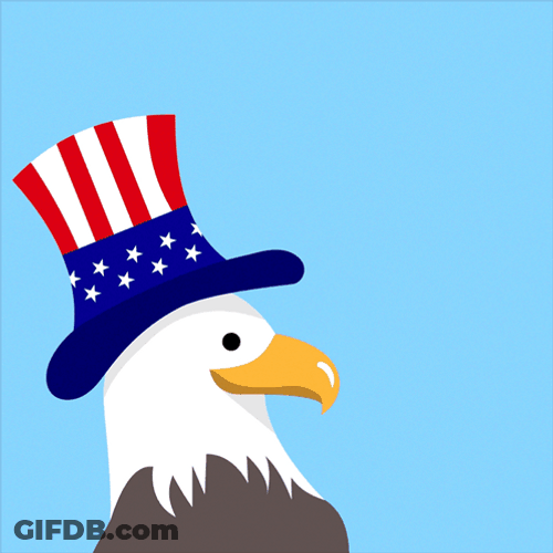 Happy Fourth American Bald Eagle GIF