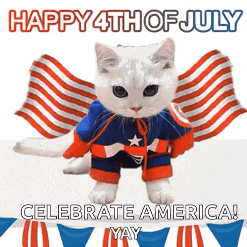 Happy Fourth American Cat GIF