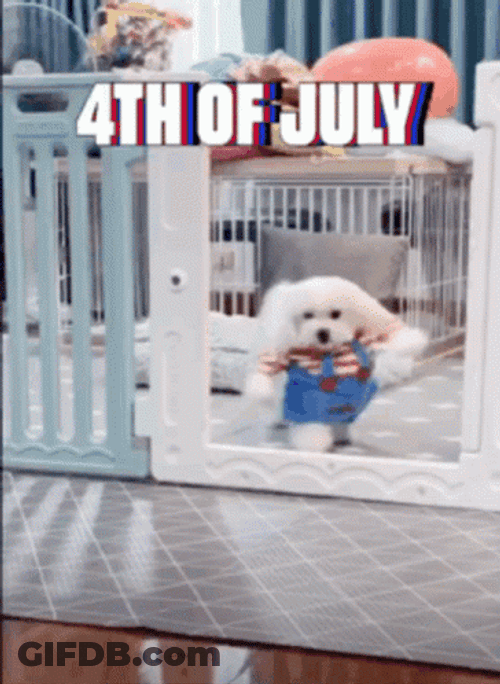 Happy Fourth Birthday Dog GIF
