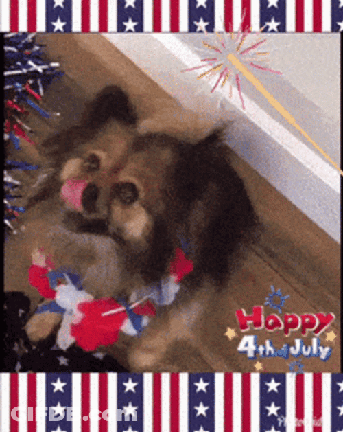 Happy Fourth Furry Girl GIF