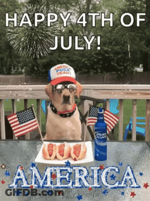 Happy Fourth Of July Dog GIF