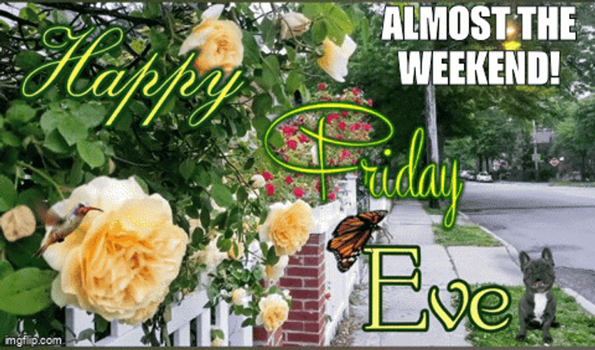 Happy Friday Eve Almost The Weekend GIF