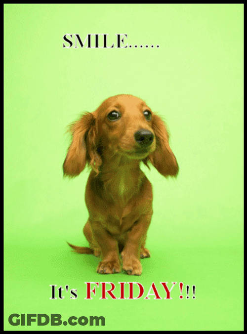 Happy Friday Funny Dog Flapping Ears GIF
