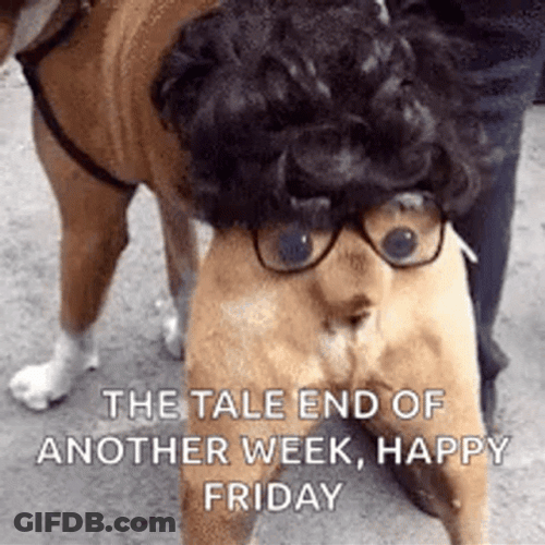 Happy Friday Funny Dog Tail GIF