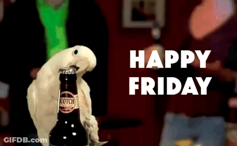Happy Friday Funny Parrot Opening Beer GIF