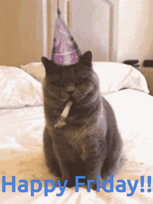 Happy Friday GIF