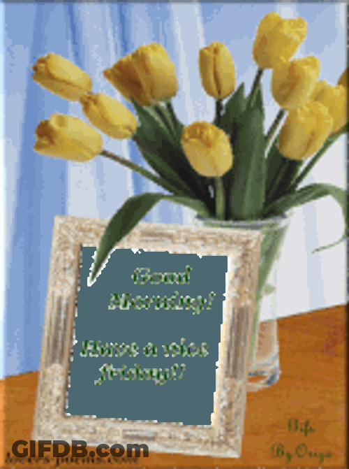 Happy Friday Good Morning Sticker GIF
