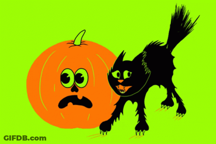 Happy Friday Halloween Scared Black Cat & Pumpkin GIF