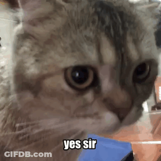 Happy Friday Lucas And Friends GIF