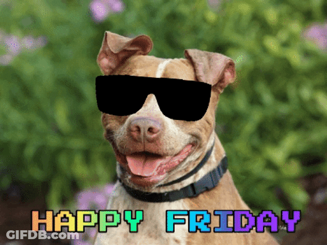 Happy Friday Thug Life Dog GIF