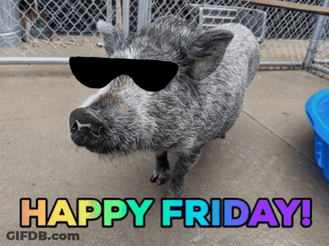 Happy Friday Thug Pig GIF