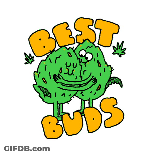 Happy Friendship Day Best Buds Hug GIF
