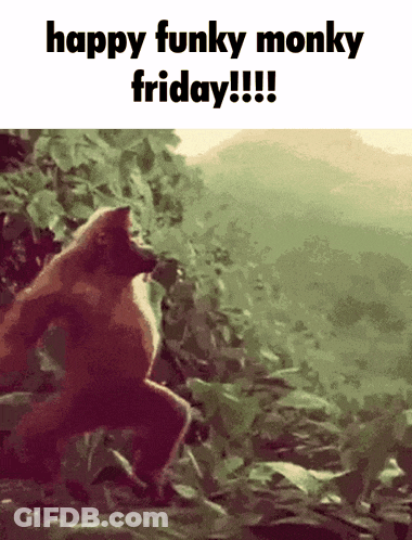 Happy Funky Monky Friday Monkey GIF