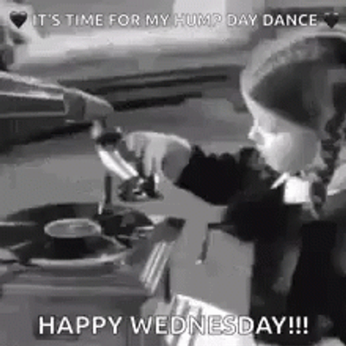 Happy Funny Wednesday Adams Hump Day GIF