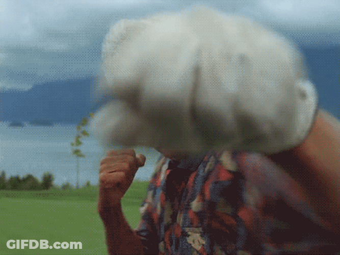 Happy Gilmore Bob Barker Air Punch With White Gloves GIF