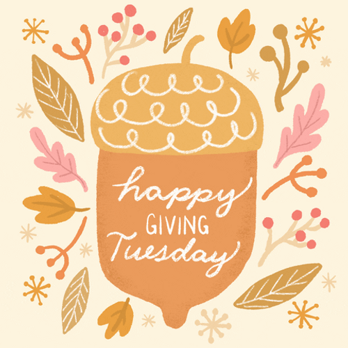 Happy Giving Tuesday GIF