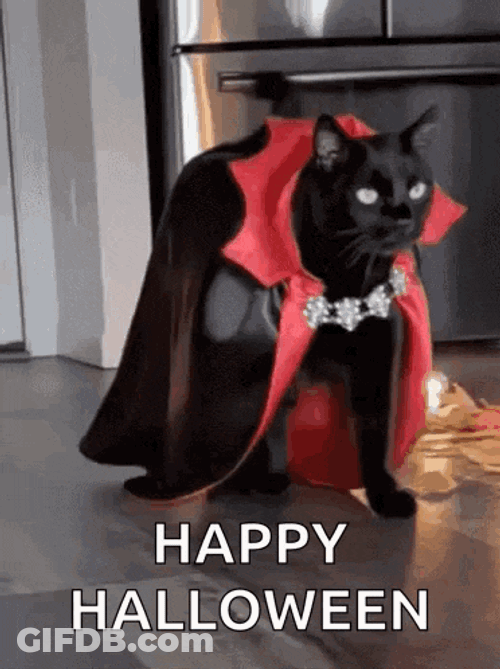 Happy Halloween 2023 GIF