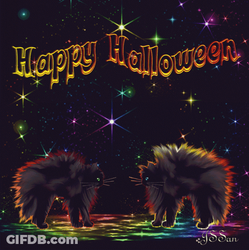 Happy Halloween Greeting Card With Two Cats And Stars GIF