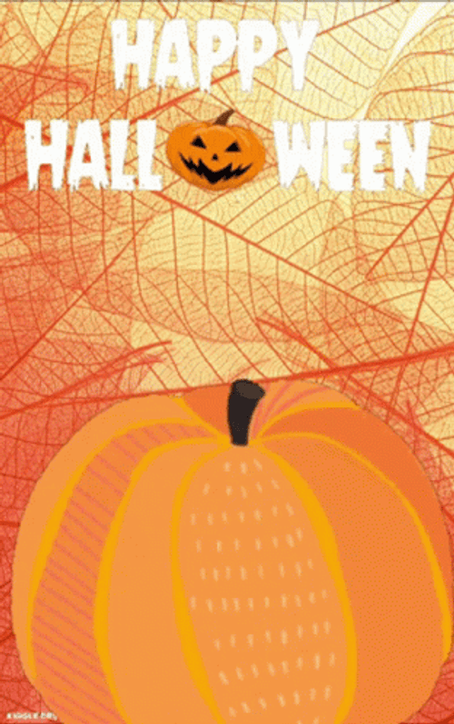 Happy Halloween Witch Jack O' Lantern GIF