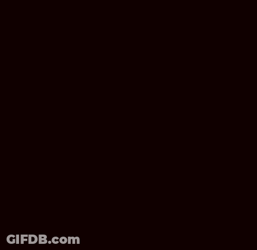 Happy Hanukkah Chippy The Dog GIF