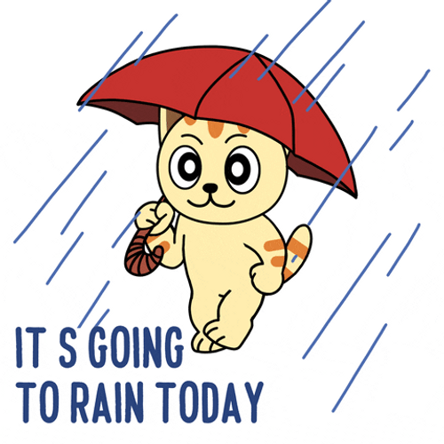 Happy Happy Happy Cat Rainy Day Today GIF