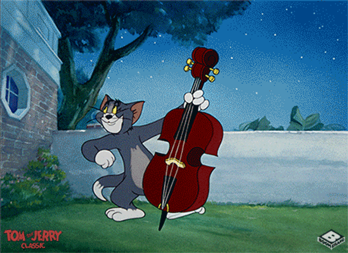 Happy Happy Happy Cat Tom Playing Bass Guitar GIF