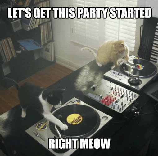 Happy Happy Happy DJ Cat Dance Party GIF