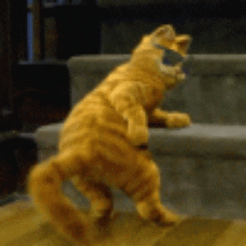 Happy Happy Happy Lazy Cat Garfield Dancing GIF