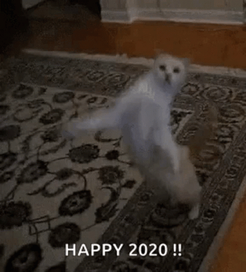 Happy Happy Happy Meme 2020 GIF