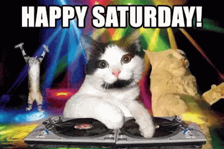 Happy Happy Happy Meme Saturday GIF