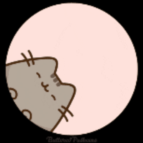 Happy Happy Happy Peeking Pusheen Cat GIF