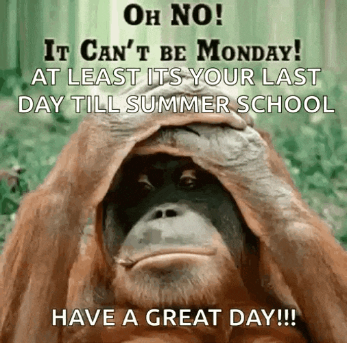 Happy Happy Monday Morning GIF