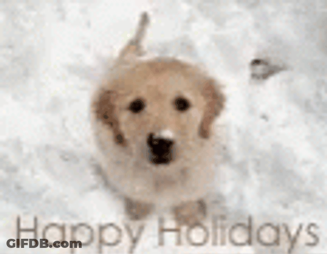 Happy Holiday Cute Puppy Waiting GIF
