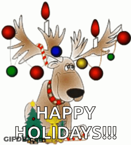 Happy Holiday Reindeer With Light GIF