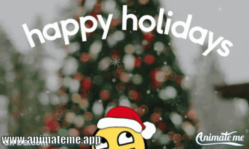 Happy Holidays Meme Happy Emoji Head GIF