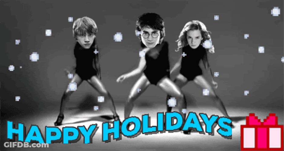 Happy Holidays Meme Harry Potter Dancing GIF