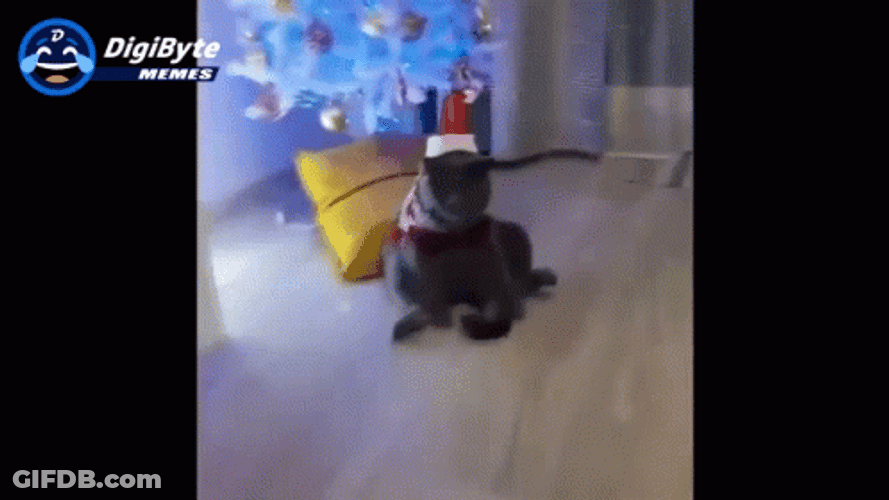 Happy Holidays Meme Santa Claus Cat GIF