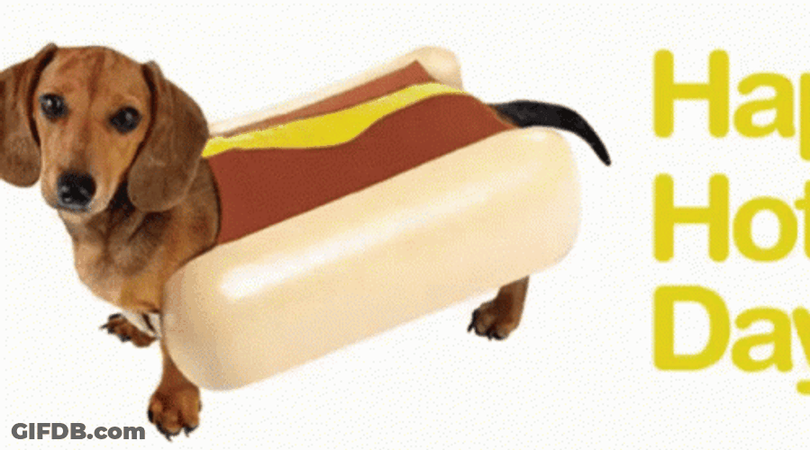 Happy Hotdog Day Makes Me Want A Hot Dog GIF