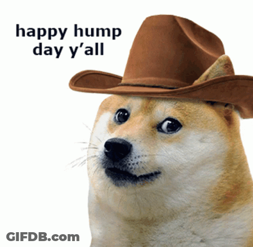 Happy Hump Day All Dog Moving Hat Animation GIF