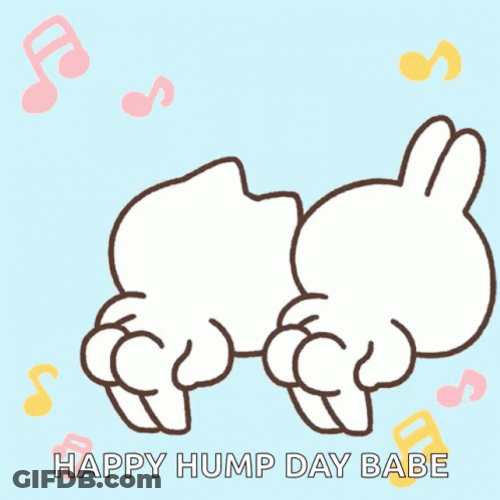Happy Hump Day Babe Dancing Cute Stickers GIF