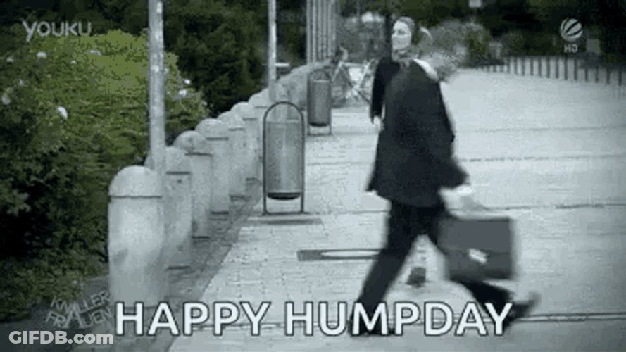 Happy Hump Day Funny Couple Vibes GIF