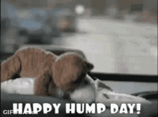 Happy Hump Day Funny Toys Meme GIF
