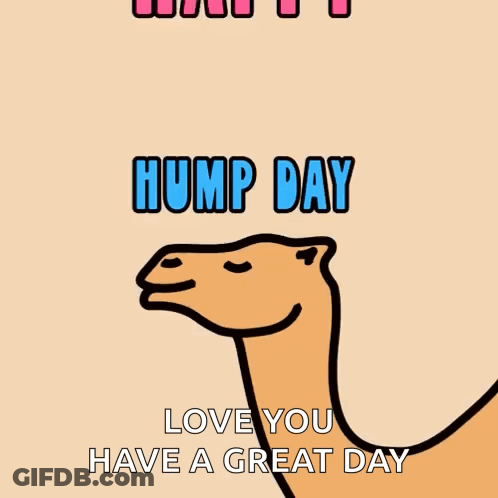 Happy Hump Day Greeting Card With Camel GIF
