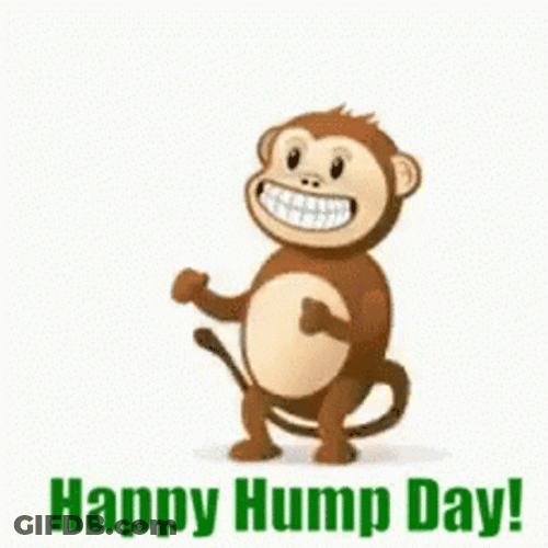 Happy Hump Day Happy Dancing Monkey Animation GIF